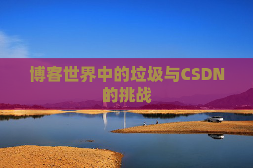 博客世界中的垃圾与CSDN的挑战